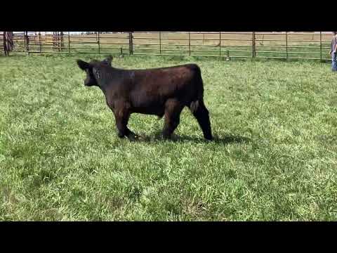 Tag 27 video