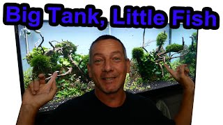 My LARGEST tank requires the LOWEST Maintenance | 75G Nano Fish PARADISE Aquarium