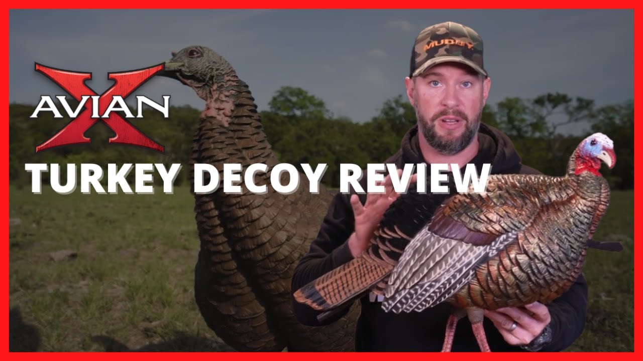 AVIAN X | Turkey Decoy Review