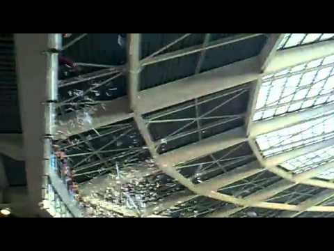 torino reggina de tomaso.flv