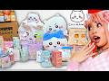 CHIIKAWA UNBOXING