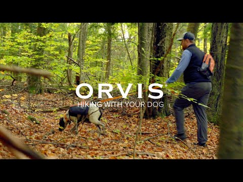 Play video on YouTube