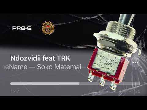 Soko Matemai & ProGIsTheName - Ndozvidii feat TRKmusik