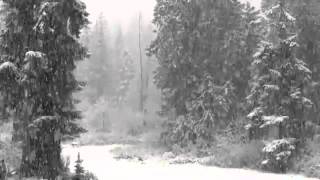 Winter Is Here Music Video