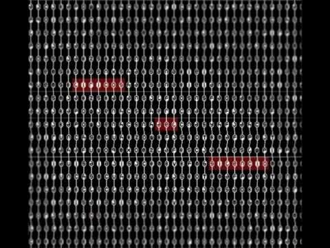 06. ¿La verdad? - Líricos del Silencio (Davemly) [Pocas Líneas]