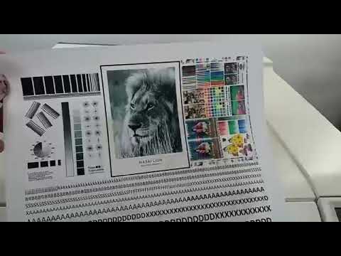 TESTE DE FUNCIONAMENTO HP LASERJET PRO 400 COLOR M451DW Z419