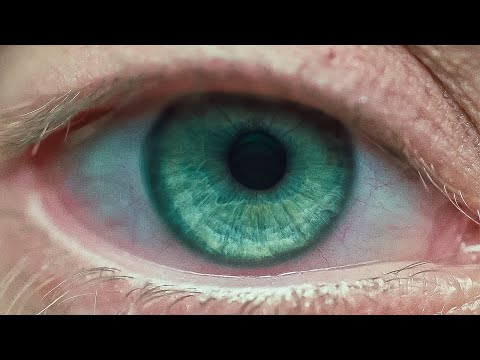 The beginning of Blade Runner 2049. Officer K. at a protein farm, he retires Sapper Morton