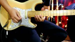 Electric Gypsy / Andy Timmons HEADRUSH pedalboard