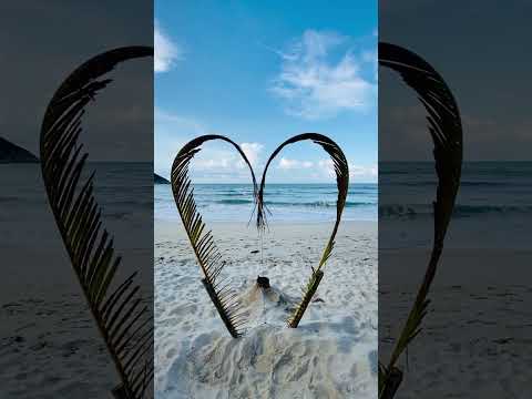 feel the music with these waves🫧