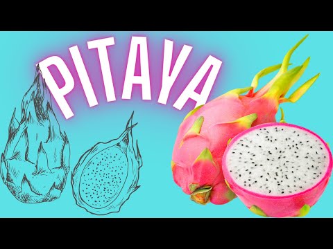 O Que  PITAYA Como Comer Essa Fruta - Pitaya Vermelha Benefcios - Para Que Serve
