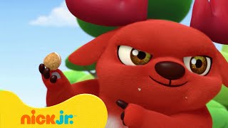 צוות צבי: מנוסת הבועות | ניק ג'וניור