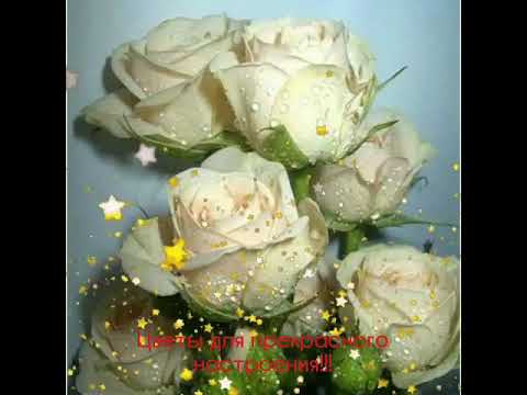 Цветы для прекрасного настроения!