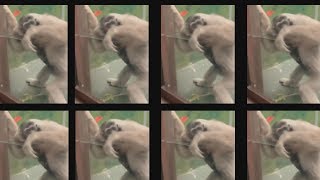 NUll1 - No Returning (Video)