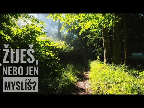 Žijeme víc v hlavě, nebo v bytí?