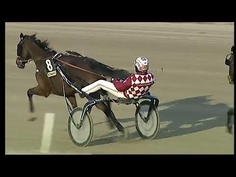 Napoli Trotto 28/01/2022 - 6ª corsa