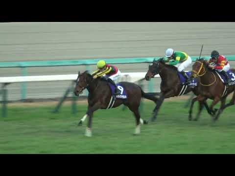 【阪神JF2022】ウィニングラン 現地映像 リバティアイランド