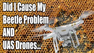 Did I Cause My Beetle Problem and UAS Drones