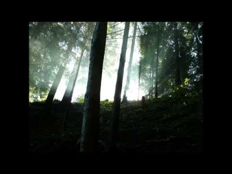 MC Jonah   Nechod kamo do lesa