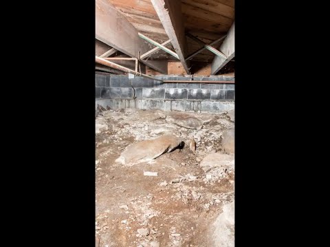 DBC-Crawl-Space-Encapsulations-SaniDry-Jamestown