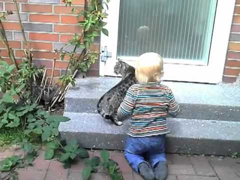 Julian auf Katzenjagd!