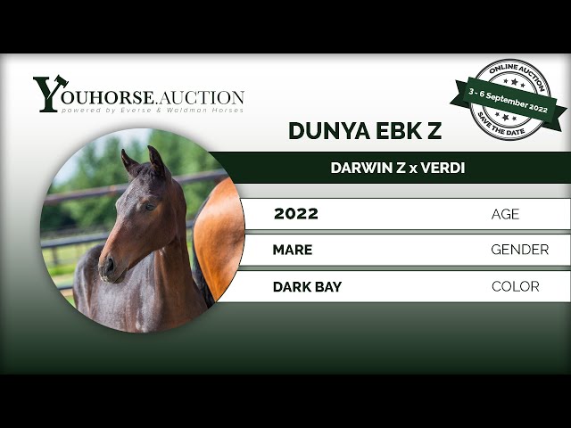 Dunya