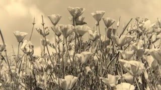 Video Musica - MòTIVO - Inverno senza fate - Fabri Fiacca & Mirko - Video Musica