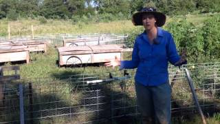 Pasture-Raised Rabbit Paddock System, Julie Engel, WI