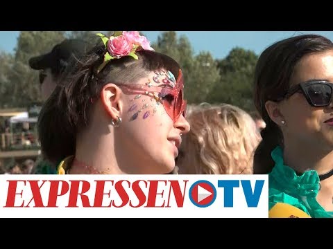 Lana del Rey, Travis Scott och Foo Fighters i Stockholm