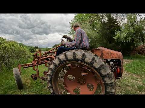 Allis Chalmers G tractor cultivating potatoes