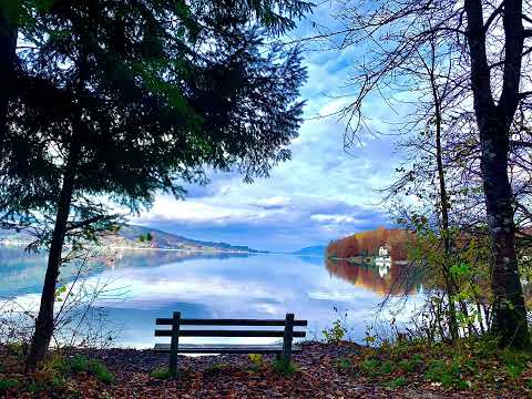 Daniel Hîrtie & Emanuela Grămadă - Cântec frumos de nuntă