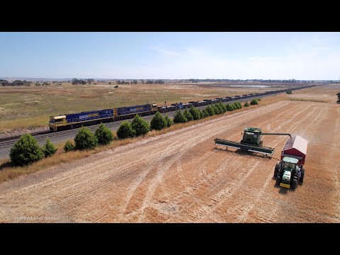 3XM4 Pacific National Steel Train & John Deere Tractors Harvesting Crops (11/1/2023) - PoathTV