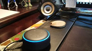 How To Connect AMAZON Echo & Echo Dot To A NEW WIFI NETWORK Or If You