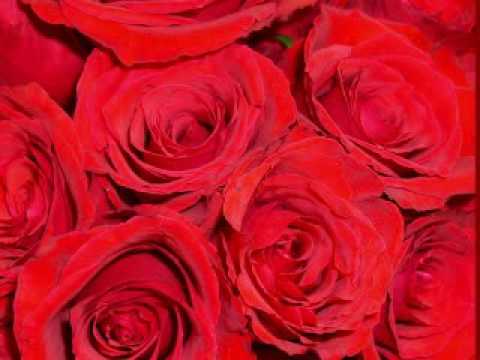 Paper Rosie - Gene Watson - Beautiful Original Recording