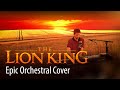 Lion King EPIC MASHUP Disney