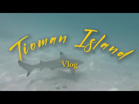 𓇼 ࣪ 𓈒🫧 Pulau Tioman Trip || 🏖️🌊🐚☀️