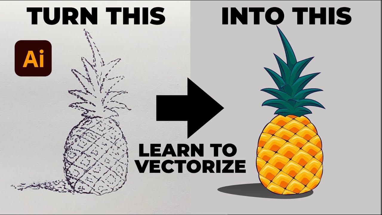 How to vectorize Pineapple sketch - Adobe Illustrator Timelapse