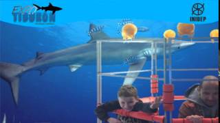 DIA 3 Expo Tiburon51