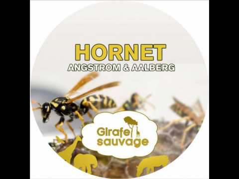Angstrom & Aalberg - Hornet (Igor Krsmanovic Remix)