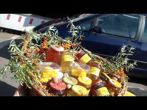 Miere de Rachiti   Adina Miron