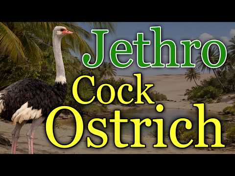 Jethro 😂 Denzil and the Ostrich🤣‼️ DON'T Miss Out🤯 Get Ready To Laught Your Socks Off😂💯💥
