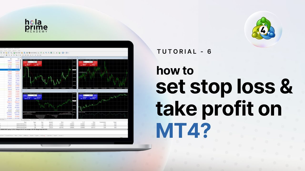 So richten Sie Stop-Loss, Take-Profit und Trailing-Stop in MT4 ein | Hola Prime