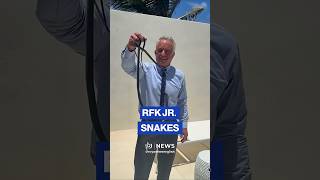 US Health Secretary RFK Jr. wrangling two snakes