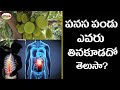 పనస పండు ఎవరు తినకూడదో తెలుసా Side Effects Of Jack