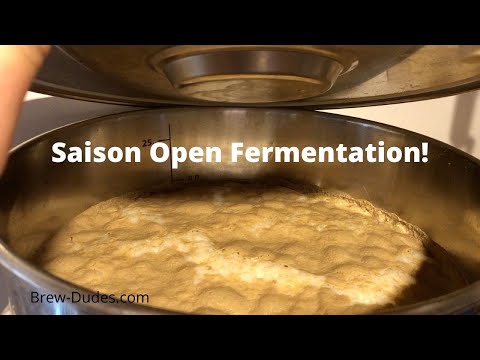 Brewing a Saison With a Partial Open Fermentation - Brew Dudes