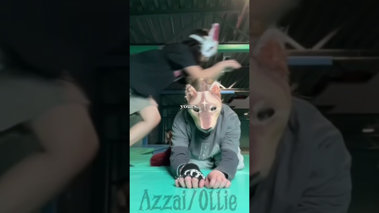 AGHH I LUV U SM!!! ❤️❤️❤️❤️ #azzaionpaws #ollizai #shortsfeed #therian