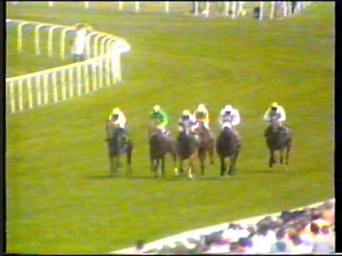 1989 - Ascot - Princess Margaret Stakes - Pharoah's Delight