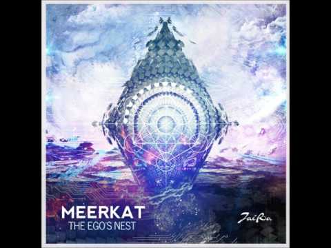 Meerkat - The Egos Nest