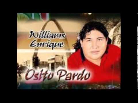 OSITO PARDO SIN  PENSAR     XD