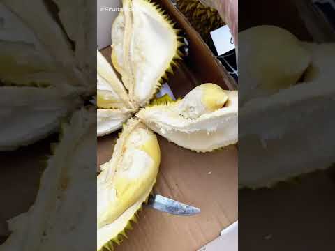 Malaysian Fresh Durian Unboxing Master | Fruit Cutting Skills | Biggest Size Fruit | #FruitsFoodie