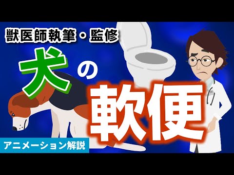 犬に下剤を与えてもいいですか?